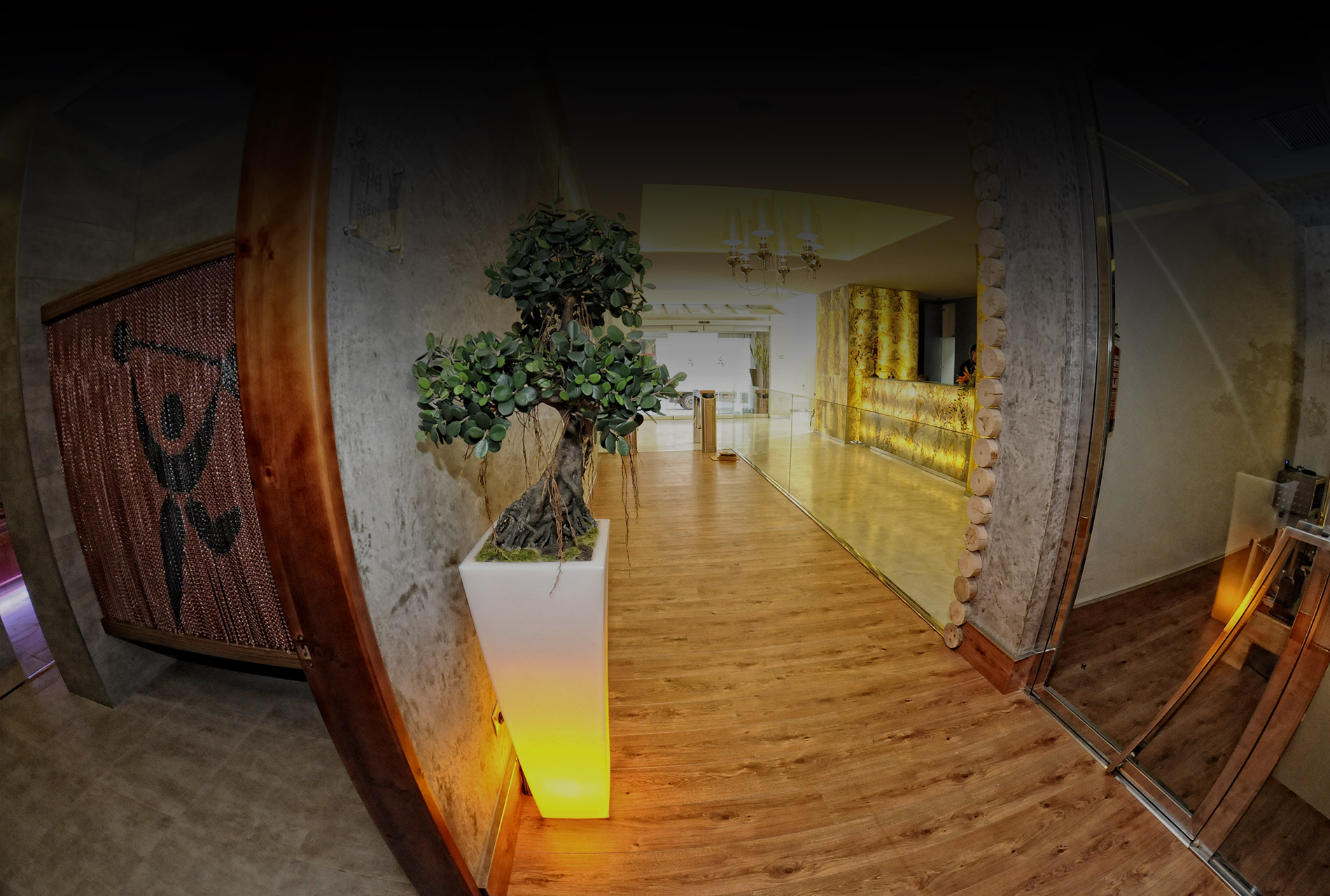 gimnasio victoria en leon